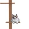 Merkloos Krabpaal In Hoogte Verstelbaar - Kattenkrabpaal - Krabpaal Voor Katten - Kattenspeeltjes - Katten - Bruin - 43L X 27B X 228-260H Cm