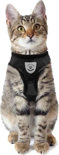 Merkloos Kattentuigje Met Looplijn | Zwart Kattenharnas | Easy Step In | Kattenriem | Kattenlijn | Kattentuig | Maat S 13 Merkloos Kattentuigje Met Looplijn | Zwart Kattenharnas | Easy Step In | Kattenriem | Kattenlijn | Kattentuig | Maat S -Merkloos Winkel 457x1200