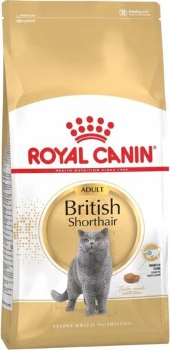 Royal Canin British Shorthair Adult - Kattenvoer - 2 Kg 24 Royal Canin British Shorthair Adult - Kattenvoer - 2 Kg -Merkloos Winkel 586x1200