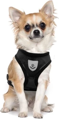 Ease Store Kattentuigje – Maat M – Met Looplijn – Kittentuigje – Dierentuigje – Hondentuigje – Reflecterend – Zwart -Merkloos Winkel 597x1200 1