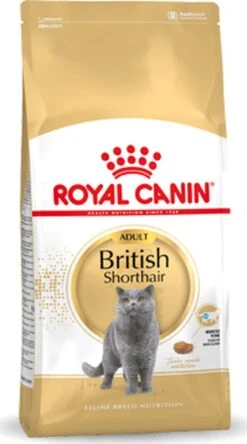 Royal Canin British Shorthair Adult - Kattenvoer - 2 Kg 27 Royal Canin British Shorthair Adult - Kattenvoer - 2 Kg -Merkloos Winkel 668x1200