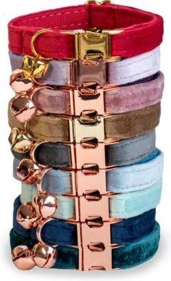 ACE Pets Kattenhalsband Met Belletje – Halsband Kat & Kitten - Kittenhalsband & Kattenbandje - Kattenbelletje - Pluche Velvet - Groen 9 ACE Pets Kattenhalsband Met Belletje – Halsband Kat & Kitten - Kittenhalsband & Kattenbandje - Kattenbelletje - Pluche Velvet - Groen -Merkloos Winkel 731x1200 2