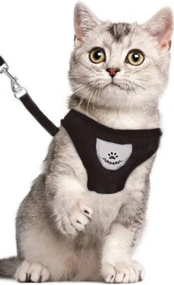 Merkloos Kattentuigje - Kattenharnas - Kattentuig Met Looplijn - Hondentuigje - Hondenharnas - Zwart - Maat S