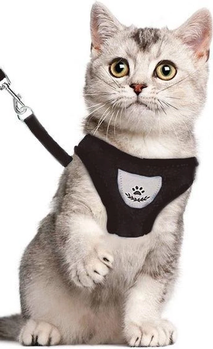 Merkloos Kattentuigje - Kattenharnas - Kattentuig Met Looplijn - Hondentuigje - Hondenharnas - Zwart - Maat S 1 Merkloos Kattentuigje - Kattenharnas - Kattentuig Met Looplijn - Hondentuigje - Hondenharnas - Zwart - Maat S