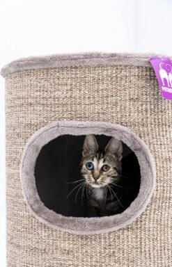 Petrebels Dome 80 Krabton Voor Katten -Cappuccino - Ø 45 X 80 Cm - Stabiel 14 Petrebels Dome 80 Krabton Voor Katten -Cappuccino - Ø 45 X 80 Cm - Stabiel -Merkloos Winkel 771x1200 3