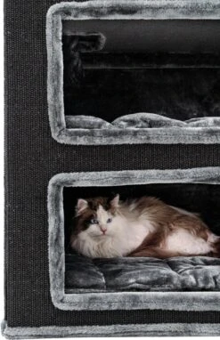 Petrebels Vault 117 Krabton XL - Pepper - 76 X 56 X 117 Cm 18 Petrebels Vault 117 Krabton XL - Pepper - 76 X 56 X 117 Cm -Merkloos Winkel 776x1200 5