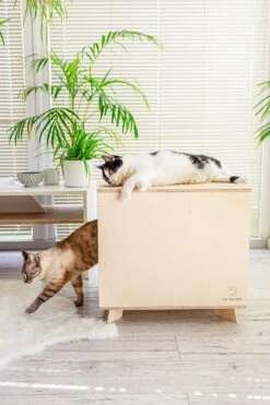 Catandwood Kattenhuis - Kattenbakcontainer - Kattenbak Ombouw - Hout -Merkloos Winkel 799x1200 6