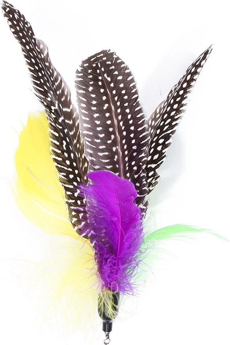 Merkloos Kattenhengel Met 10 Opzetstukjes - Kat Speelhengel Met Veren - Speelgoed Hengel Voor Katten – Kittenspeeltjes Met Veer – Kattenspeelgoed – Katten Speeltjes 4 Merkloos Kattenhengel Met 10 Opzetstukjes - Kat Speelhengel Met Veren - Speelgoed Hengel Voor Katten – Kittenspeeltjes Met Veer – Kattenspeelgoed – Katten Speeltjes - Afbeelding 4