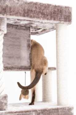 Petrebels Lodge 107 Krabpaal - Cappuccino - Design - Zeer Stabiel 18 Petrebels Lodge 107 Krabpaal - Cappuccino - Design - Zeer Stabiel -Merkloos Winkel 800x1200 15