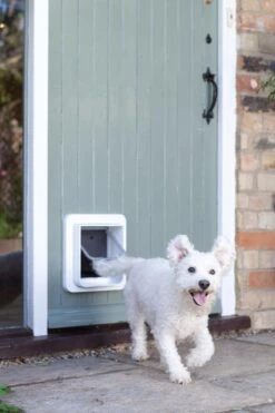 Sureflap Dierenluik Microchip S - Kattenluik - 20x20x7 Cm Wit 24 Sureflap Dierenluik Microchip S - Kattenluik - 20x20x7 Cm Wit -Merkloos Winkel 800x1200 23