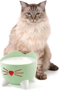 Catit Pixi Fountain - Kattendrinkbak - 20x20x16 Cm Groen 13 Catit Pixi Fountain - Kattendrinkbak - 20x20x16 Cm Groen -Merkloos Winkel 800x1200
