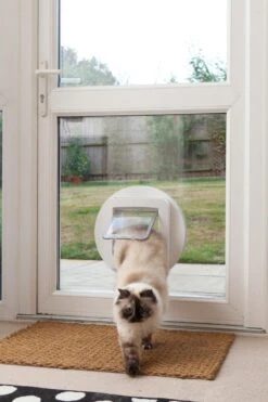 Sureflap Montageadapter Voor Kattenluik - Wit - 14 X 12 Cm 12 Sureflap Montageadapter Voor Kattenluik - Wit - 14 X 12 Cm -Merkloos Winkel 800x1200 26