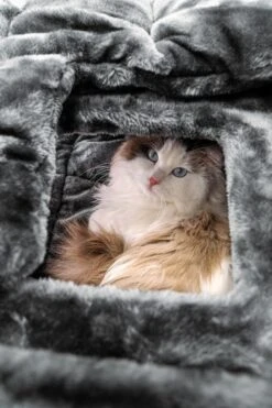 Petrebels Vault 117 Krabton XL - Pepper - 76 X 56 X 117 Cm 14 Petrebels Vault 117 Krabton XL - Pepper - 76 X 56 X 117 Cm -Merkloos Winkel 800x1200 27