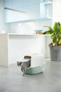 Rotho Bailey - Kattenbak - Groen/Zand -Merkloos Winkel 800x1200 3