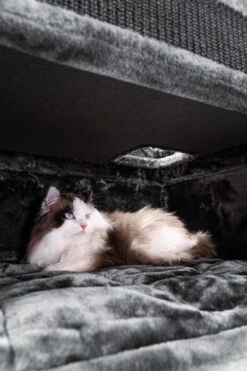 Petrebels Vault 117 Krabton XL - Pepper - 76 X 56 X 117 Cm 22 Petrebels Vault 117 Krabton XL - Pepper - 76 X 56 X 117 Cm -Merkloos Winkel 800x1200 30