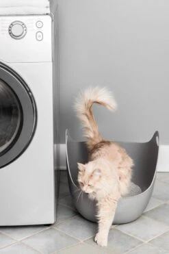 LitterLocker LitterBox - Grijs 9 LitterLocker LitterBox - Grijs -Merkloos Winkel 800x1200 4