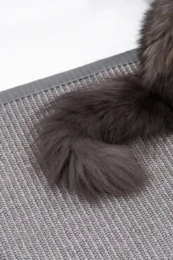 Petrebels Mastermat 60 Katten Krabmat - Grijs - 60 X 40 Cm - Zeer Sterk 17 Petrebels Mastermat 60 Katten Krabmat - Grijs - 60 X 40 Cm - Zeer Sterk -Merkloos Winkel 800x1200 42