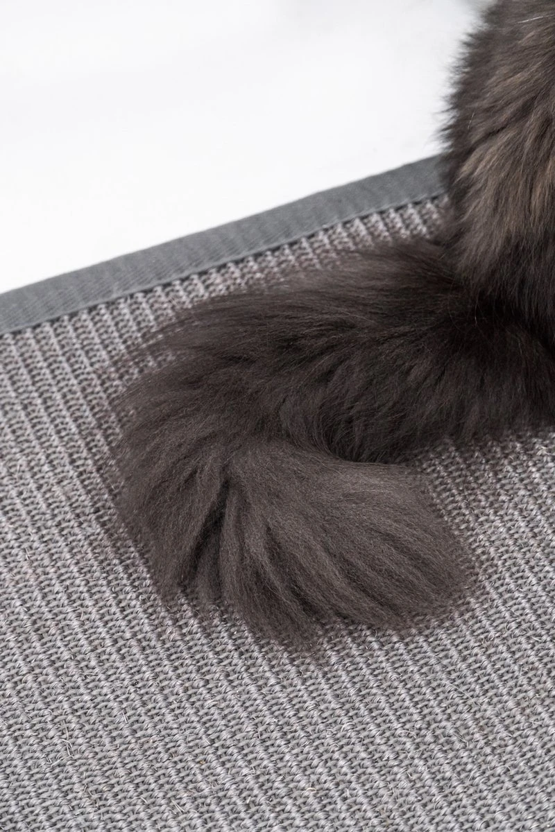 Petrebels Mastermat 60 Katten Krabmat - Grijs - 60 X 40 Cm - Zeer Sterk 6 Petrebels Mastermat 60 Katten Krabmat - Grijs - 60 X 40 Cm - Zeer Sterk - Afbeelding 6