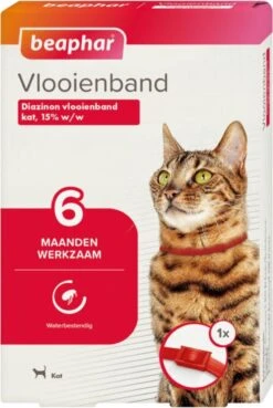 Beaphar Vlooienband Kat - Rood - 1 Stuk -Merkloos Winkel 804x1200 1
