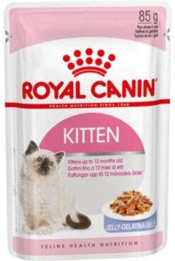 Royal Canin Kitten In Jelly - Kattenvoer - 1020 G 35 Royal Canin Kitten In Jelly - Kattenvoer - 1020 G -Merkloos Winkel 805x1200 3