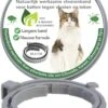 Teken- En Vlooienband Voor Katten PLUS - Natuurlijk Middel Tegen Vlooien En Teken - 100% Natuurlijk - 38,5 CM - Tot 8 Maand Werkzaam - Biologisch