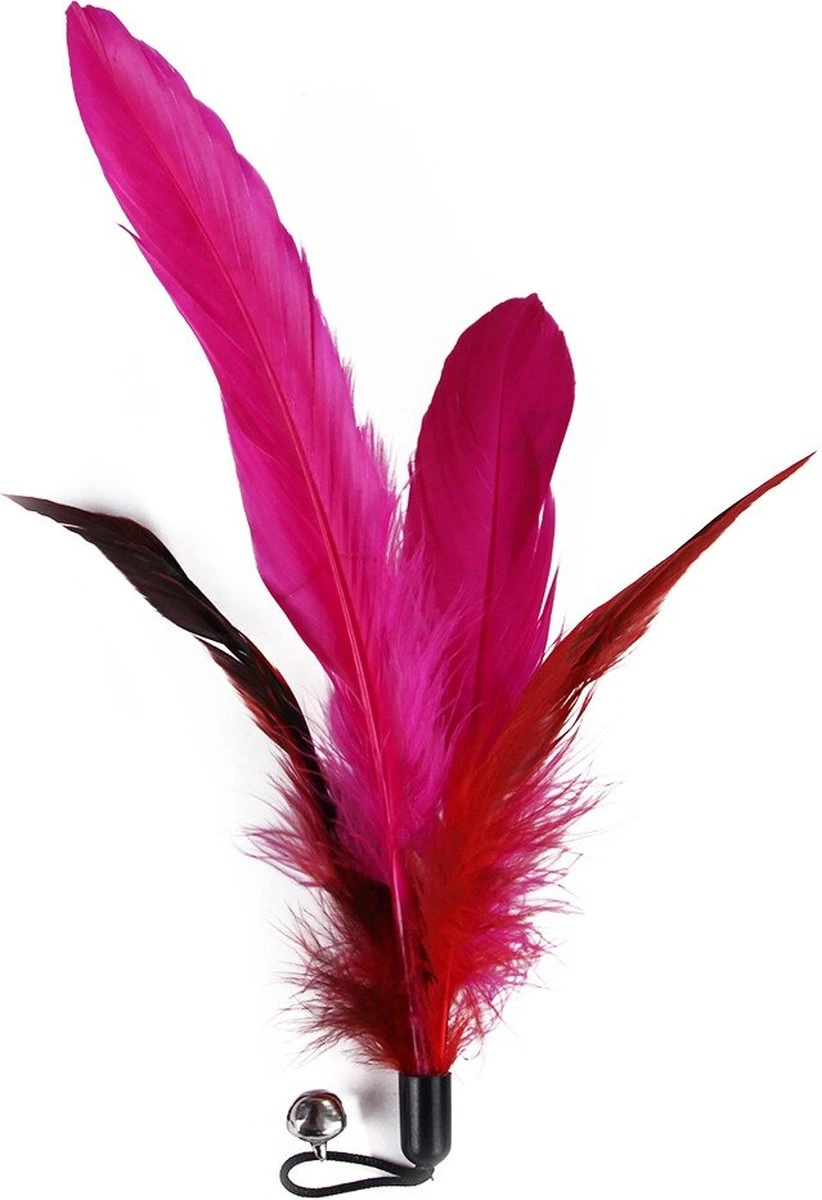 Merkloos Kattenhengel Met 10 Opzetstukjes - Kat Speelhengel Met Veren - Speelgoed Hengel Voor Katten – Kittenspeeltjes Met Veer – Kattenspeelgoed – Katten Speeltjes 2 Merkloos Kattenhengel Met 10 Opzetstukjes - Kat Speelhengel Met Veren - Speelgoed Hengel Voor Katten – Kittenspeeltjes Met Veer – Kattenspeelgoed – Katten Speeltjes - Afbeelding 2