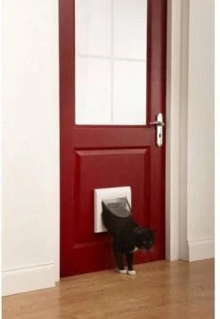 Petsafe 919 Classic - Wit - Kattenluik - 22,4 X 22,4 X 22,4 Cm 21 Petsafe 919 Classic - Wit - Kattenluik - 22,4 X 22,4 X 22,4 Cm -Merkloos Winkel 826x1200 3