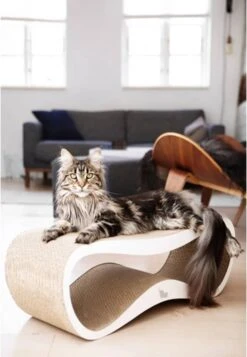 MyKotty LUI - Krabpaal - Wit - 75 X 25 Cm -Merkloos Winkel 830x1200 3