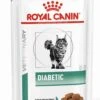 Royal Canin Diabetic Kat Natvoer 12x85 G