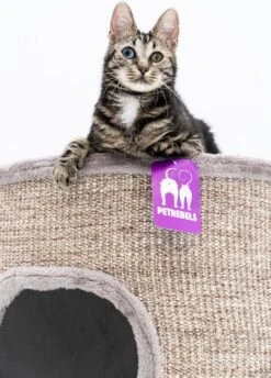 Petrebels Dome 80 Krabton Voor Katten -Cappuccino - Ø 45 X 80 Cm - Stabiel 16 Petrebels Dome 80 Krabton Voor Katten -Cappuccino - Ø 45 X 80 Cm - Stabiel -Merkloos Winkel 862x1200 3