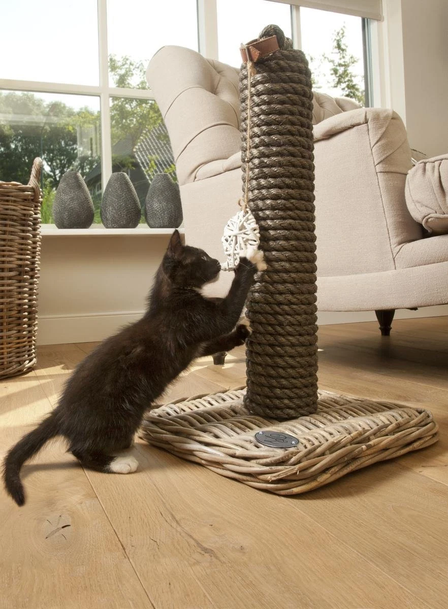 Designed By Lotte - Krabpaal - Kubu - 40x40x80 Cm 5 Designed By Lotte - Krabpaal - Kubu - 40x40x80 Cm - Afbeelding 5