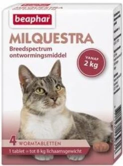 Beaphar Milquestra Kleine Kat/kitten - 0,5 Tot 4 Kg - 2 Tabletten 17 Beaphar Milquestra Kleine Kat/kitten - 0,5 Tot 4 Kg - 2 Tabletten -Merkloos Winkel 893x1200 6