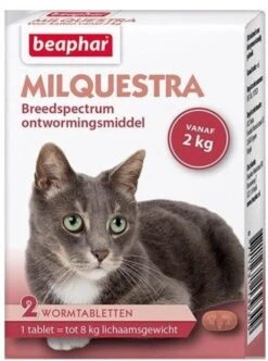 Beaphar Milquestra Kleine Kat/kitten - 0,5 Tot 4 Kg - 2 Tabletten 16 Beaphar Milquestra Kleine Kat/kitten - 0,5 Tot 4 Kg - 2 Tabletten -Merkloos Winkel 894x1200 5