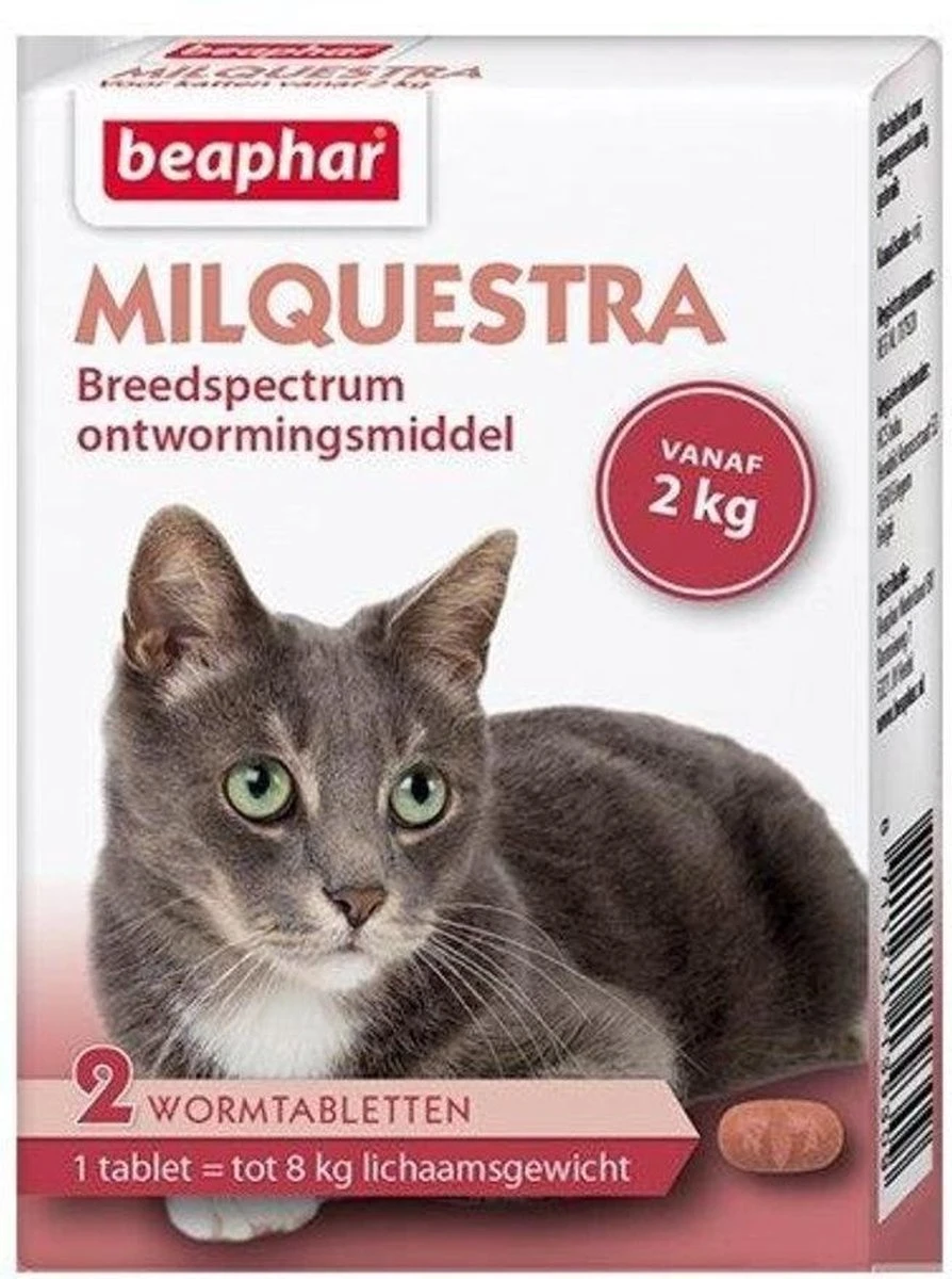 Beaphar Milquestra Kleine Kat/kitten - 0,5 Tot 4 Kg - 2 Tabletten 6 Beaphar Milquestra Kleine Kat/kitten - 0,5 Tot 4 Kg - 2 Tabletten - Afbeelding 6
