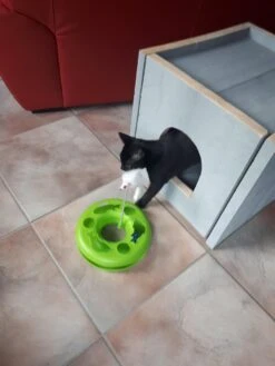 Bronneger Exclusive - Kattenhuis - XXL - Kattenbak Ombouw Kast - Kattenmand -Merkloos Winkel 900x1200 17