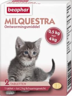 Beaphar Milquestra Kleine Kat/kitten - 0,5 Tot 4 Kg - 2 Tabletten 15 Beaphar Milquestra Kleine Kat/kitten - 0,5 Tot 4 Kg - 2 Tabletten -Merkloos Winkel 901x1200 2