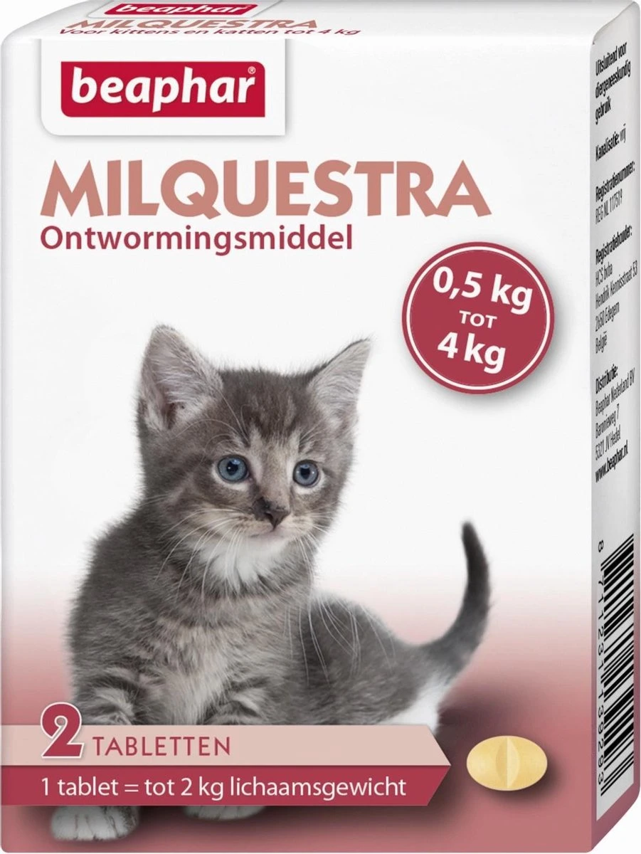 Beaphar Milquestra Kleine Kat/kitten - 0,5 Tot 4 Kg - 2 Tabletten 5 Beaphar Milquestra Kleine Kat/kitten - 0,5 Tot 4 Kg - 2 Tabletten - Afbeelding 5