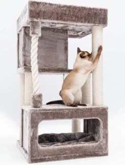 Petrebels Lodge 107 Krabpaal - Cappuccino - Design - Zeer Stabiel 14 Petrebels Lodge 107 Krabpaal - Cappuccino - Design - Zeer Stabiel -Merkloos Winkel 908x1200 2