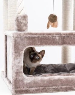 Petrebels Lodge 107 Krabpaal - Cappuccino - Design - Zeer Stabiel 19 Petrebels Lodge 107 Krabpaal - Cappuccino - Design - Zeer Stabiel -Merkloos Winkel 943x1200 1