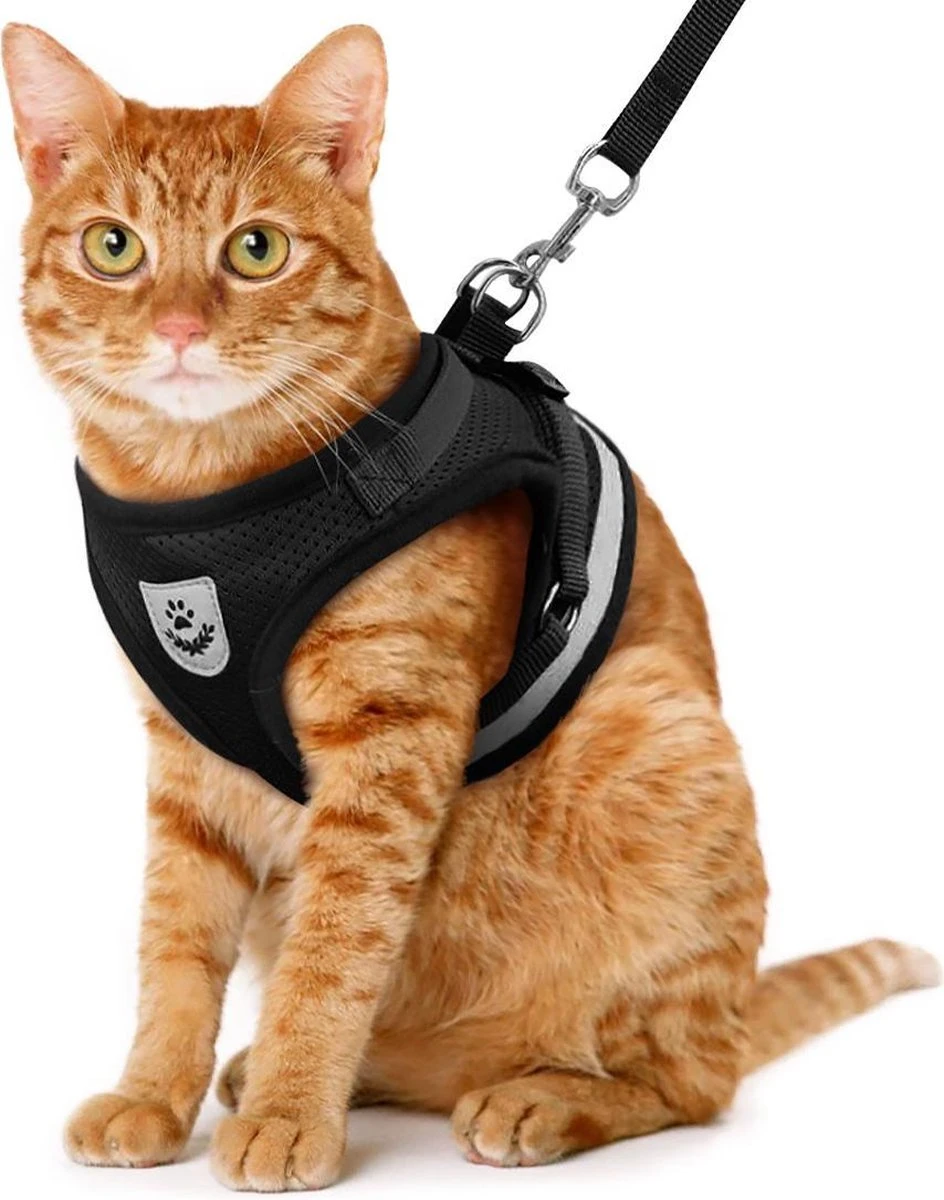 Merkloos Kattentuigje Met Looplijn | Zwart Kattenharnas | Easy Step In | Kattenriem | Kattenlijn | Kattentuig | Maat S 1 Merkloos Kattentuigje Met Looplijn | Zwart Kattenharnas | Easy Step In | Kattenriem | Kattenlijn | Kattentuig | Maat S