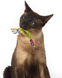 Petstages Dental Health Chew Kattenspeelgoed - Catnip -Merkloos Winkel 960x1200 10