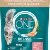 PURINA ONE Katten Droogvoer Met Zalm En Volle Granen, Adult, 900 G