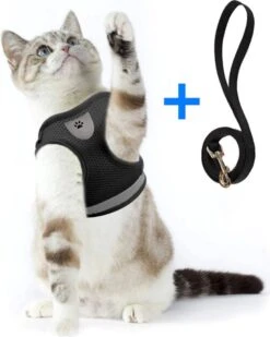 Ease Store Kattentuigje – Maat M – Met Looplijn – Kittentuigje – Dierentuigje – Hondentuigje – Reflecterend – Zwart -Merkloos Winkel 960x1200 11