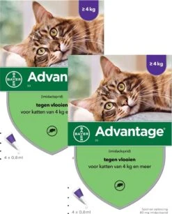 Bayer Advantage 80 Kat 4 Pip - Anti Vlooienmiddel - 2 X 0.8 Ml - > 4 Kg 5 Bayer Advantage 80 Kat 4 Pip - Anti Vlooienmiddel - 2 X 0.8 Ml - > 4 Kg -Merkloos Winkel 965x1200