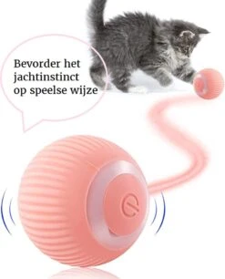 Otiume Slimme Katten Speeltje - Interactieve Zelf Rollende Bal Voor Katten - Kattenspeeltjes - USB Oplaadbaar- Turquoise -Merkloos Winkel 968x1200 3