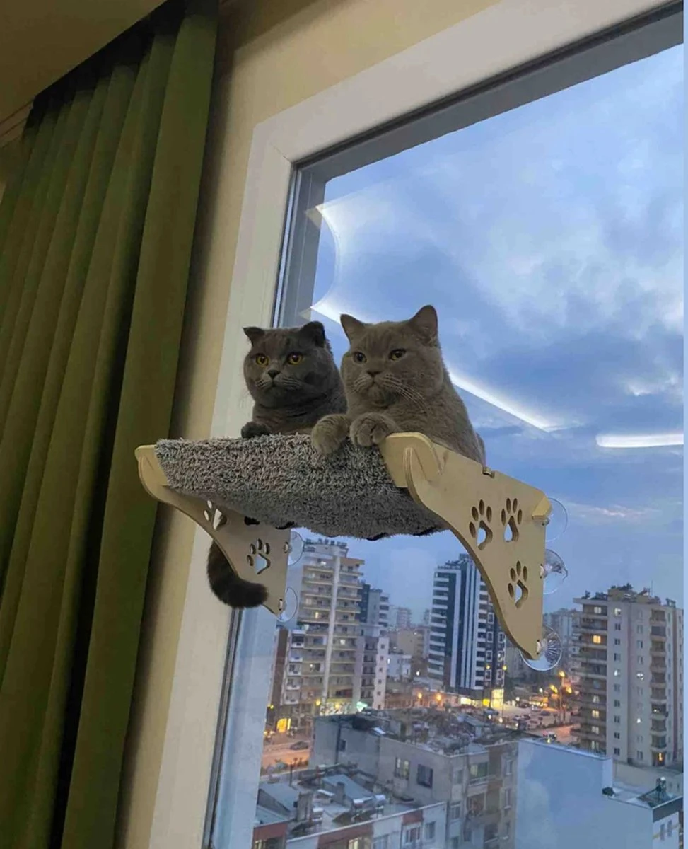 Merkloos Arnillo - Kattenhangmat - Kattenhangmat Raam - Kattenmand - Kattenbed - Kattenbed Raam - Kat Decoratie - Houten Kattenhangmat 1 Merkloos Arnillo - Kattenhangmat - Kattenhangmat Raam - Kattenmand - Kattenbed - Kattenbed Raam - Kat Decoratie - Houten Kattenhangmat