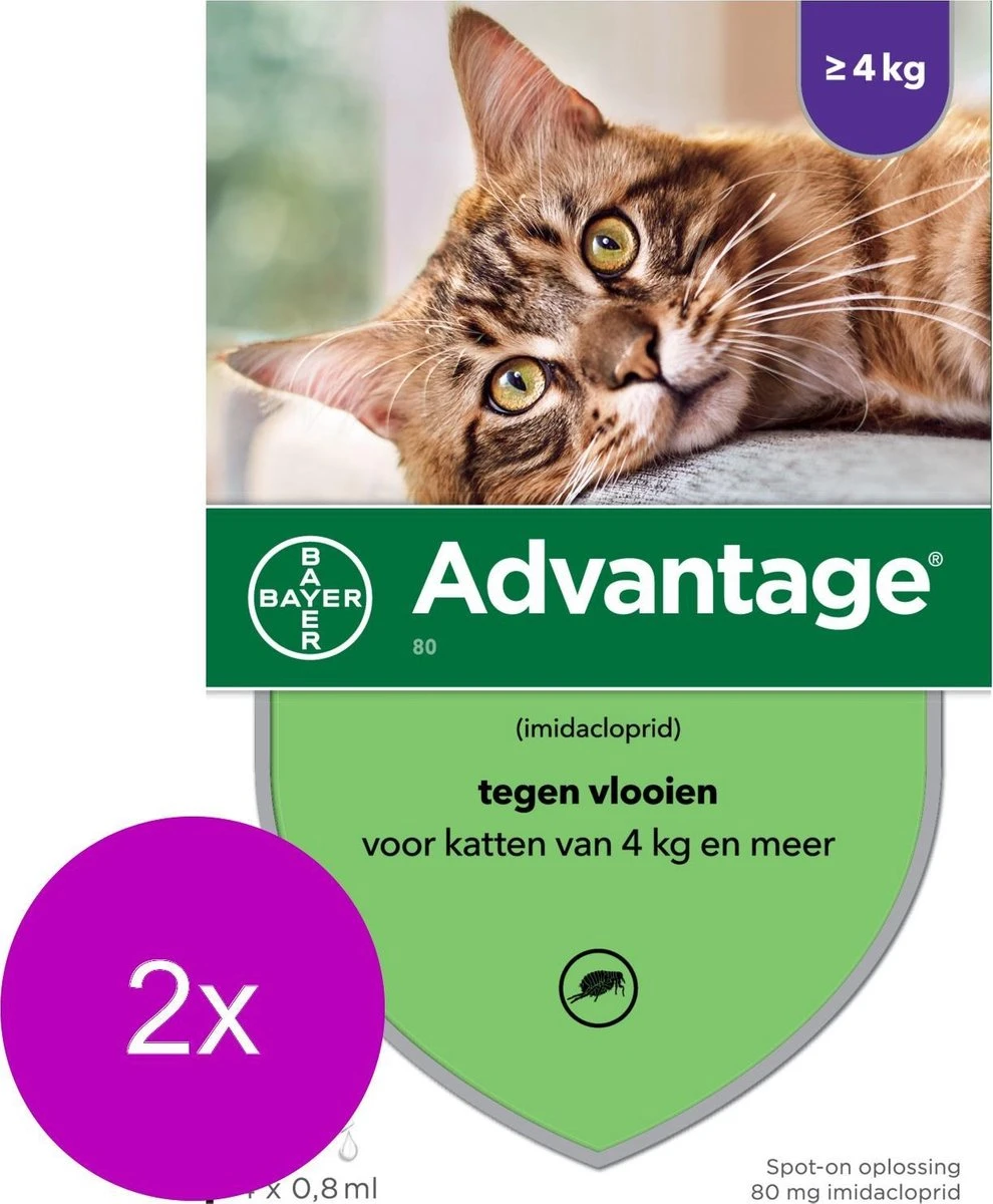 Bayer Advantage 80 Kat 4 Pip - Anti Vlooienmiddel - 2 X 0.8 Ml - > 4 Kg 2 Bayer Advantage 80 Kat 4 Pip - Anti Vlooienmiddel - 2 X 0.8 Ml - > 4 Kg - Afbeelding 2