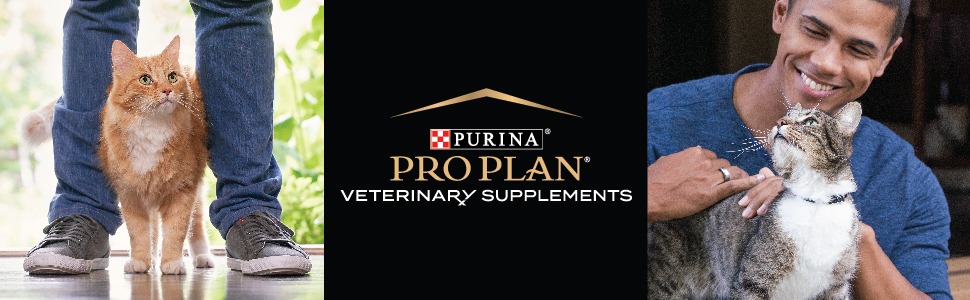 Merkloos Winkel -Merkloos Winkel 9053dc70 f13e 43a5 8062 6d61b54a